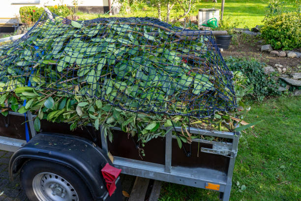 Same-Day Junk Removal Services in Pullman, WA